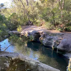 Berowra Valley National Park - Hornsby