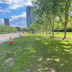 Bicentennial Park - Hornsby