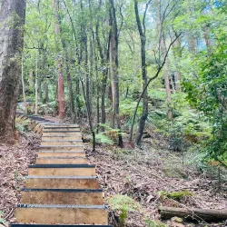 Florence Street Reserve - Hornsby