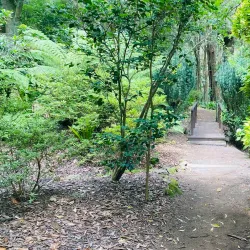 Florence Street Reserve - Hornsby