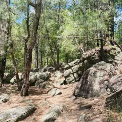 Florence Street Reserve - Hornsby