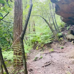 Florence Street Reserve - Hornsby