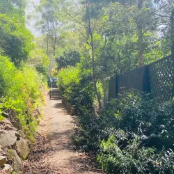 Florence Street Reserve - Hornsby