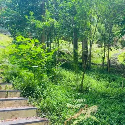 Florence Street Reserve - Hornsby