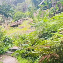 Florence Street Reserve - Hornsby