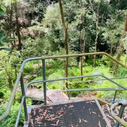 Florence Street Reserve - Hornsby