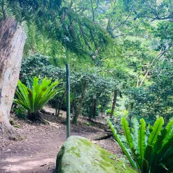 Florence Street Reserve - Hornsby