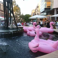 Hornsby Farmers Market - Hornsby
