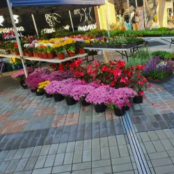 Hornsby Farmers Market - Hornsby