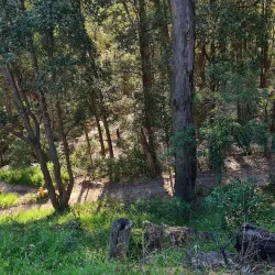 Hornsby Heritage Museum - Hornsby