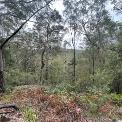 Hornsby Heritage Museum - Hornsby