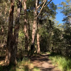 Hornsby Heritage Museum - Hornsby