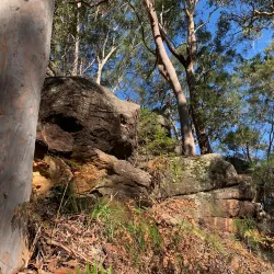Hornsby Heritage Museum - Hornsby