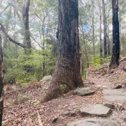 Hornsby Park - Hornsby