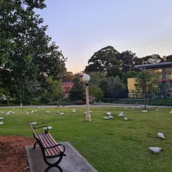 Hornsby Park - Hornsby