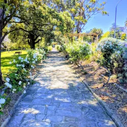 Hornsby Park - Hornsby