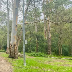 Hornsby Park - Hornsby