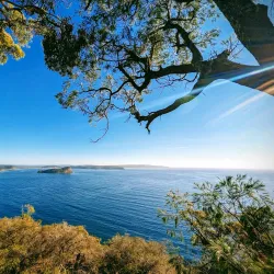 Ku-ring-gai Chase National Park - Hornsby