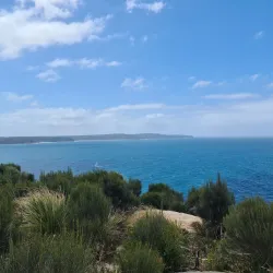 Ku-ring-gai Chase National Park - Hornsby