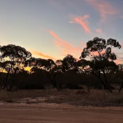 Big Desert Wilderness Park - Horsham