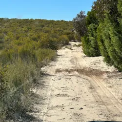 Big Desert Wilderness Park - Horsham