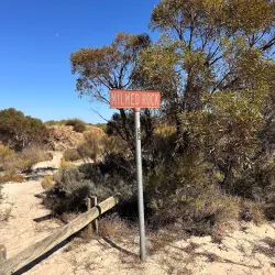 Big Desert Wilderness Park - Horsham