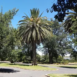 Horsham Botanical Gardens - Horsham