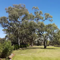 Horsham Botanical Gardens - Horsham