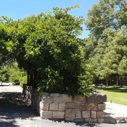 Horsham Botanical Gardens - Horsham