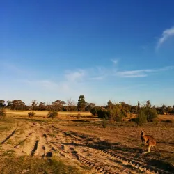 Horsham Golf Club - Horsham