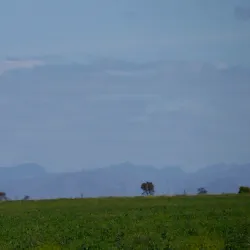 Horsham Heritage Centre - Horsham