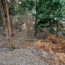 Lloyd Reserve - Horsham