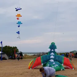 Lloyd Reserve - Horsham