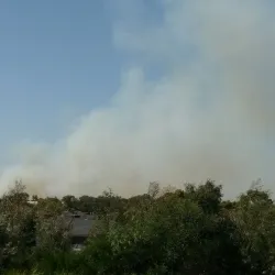 Lloyd Reserve - Horsham