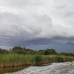 Wimmera River - Horsham