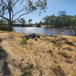 Wimmera River - Horsham