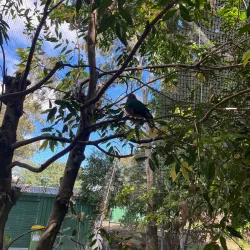 Ipswich Nature Centre - Ipswich