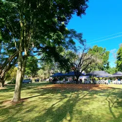 Bromelton State Forest - Jimboomba