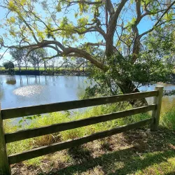 Bromelton State Forest - Jimboomba