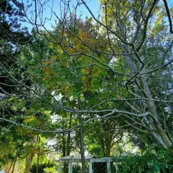 Bromelton State Forest - Jimboomba