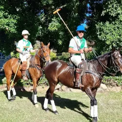 Bromelton State Forest - Jimboomba