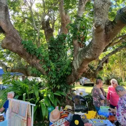 Bromelton State Forest - Jimboomba