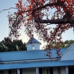 Bromelton State Forest - Jimboomba