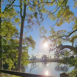 Bromelton State Forest - Jimboomba