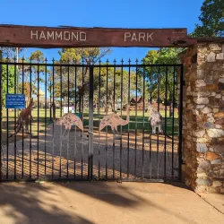 Kalgoorlie Arboretum - Kalgoorlie