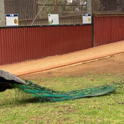 Kalgoorlie Arboretum - Kalgoorlie