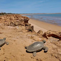 Cemetery Beach - Karratha