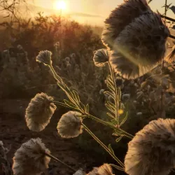 Dampier Archipelago - Karratha