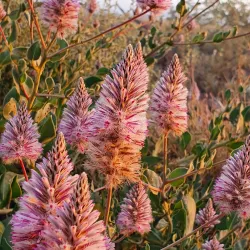 Dampier Archipelago - Karratha