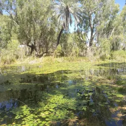 Millstream Chichester National Park - Karratha